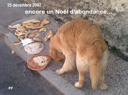  en pays d'abondance .... m�me les chiens en profitent...