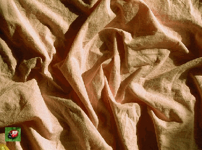  lesplis...de la Terre sont la preuve qu'elle est vivante...