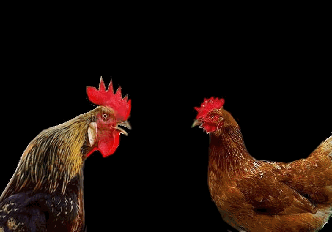  les moeurs changent   !   Tant mieux..