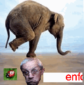  Tu n'es pas immortel !.....