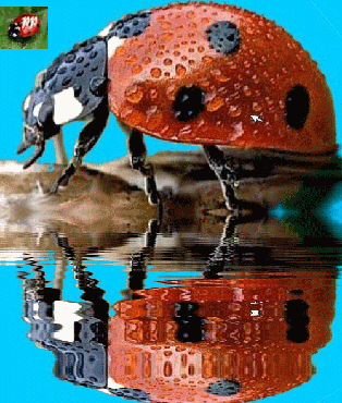 Le plaisir d'exister