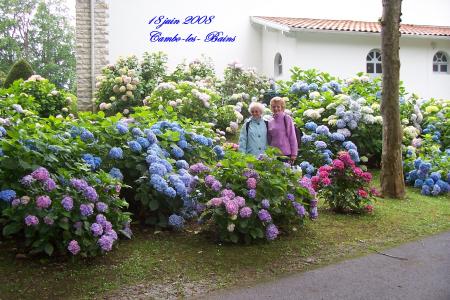 Janine et Mich�le dans les hortensias