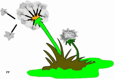  �pitaphe pour un po�te...