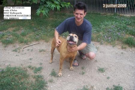 les chiens aiment William...