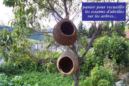 paniers � essaims (vus � COCURES 48 )