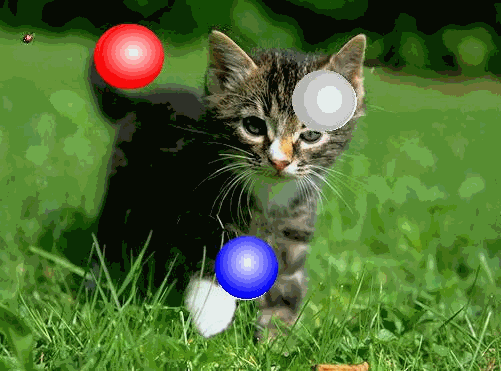 SIMPLEMENT POUR JOUER AVEC UN CHATON...