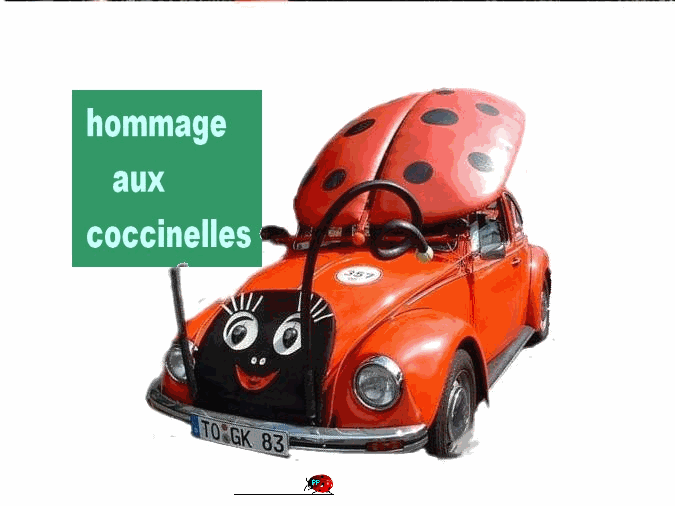  HOMMAGE  � toutes les coccinelles