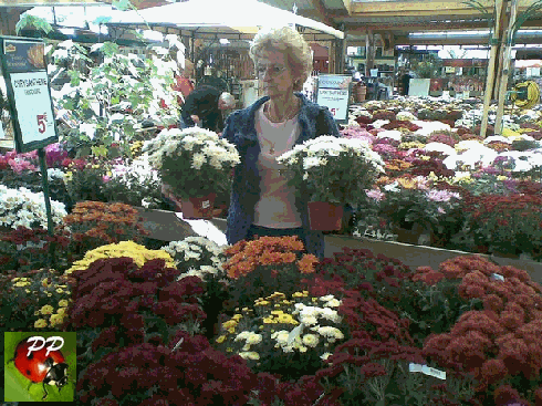 on ne plaisante pas avec les cimeti�res...