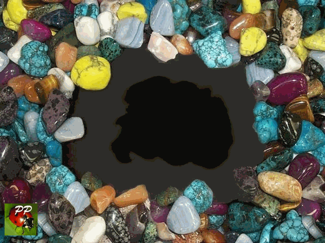  le g�nie et la folie