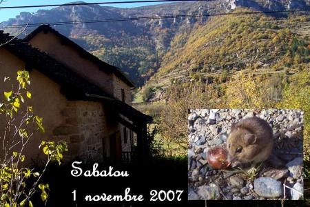 rencontre sous le ch�taigner