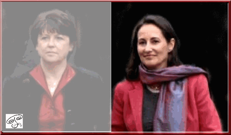 Elections au parti socialiste