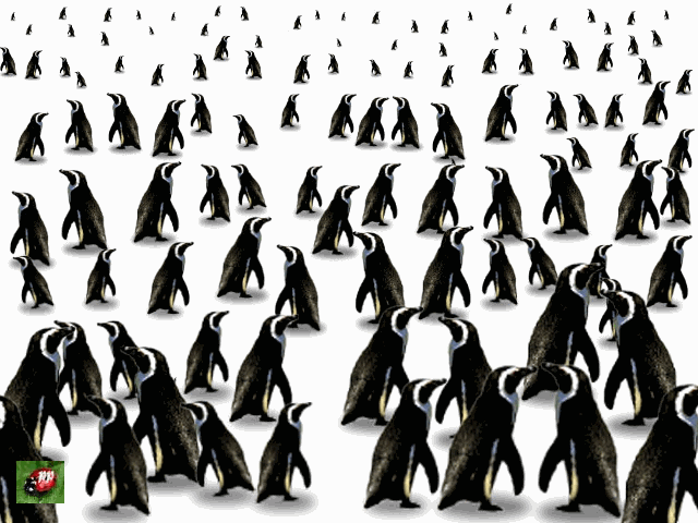  il est tout seul � s'agiter... et il veut sauver la banquise...qui fond...