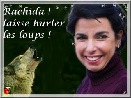 Rachida Dati n'a pas peur des loups ..( politiques )